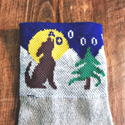 Custom Dog Socks